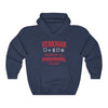 Venkman Institute of Paranormal Studies Men's/Unisex Hoodie